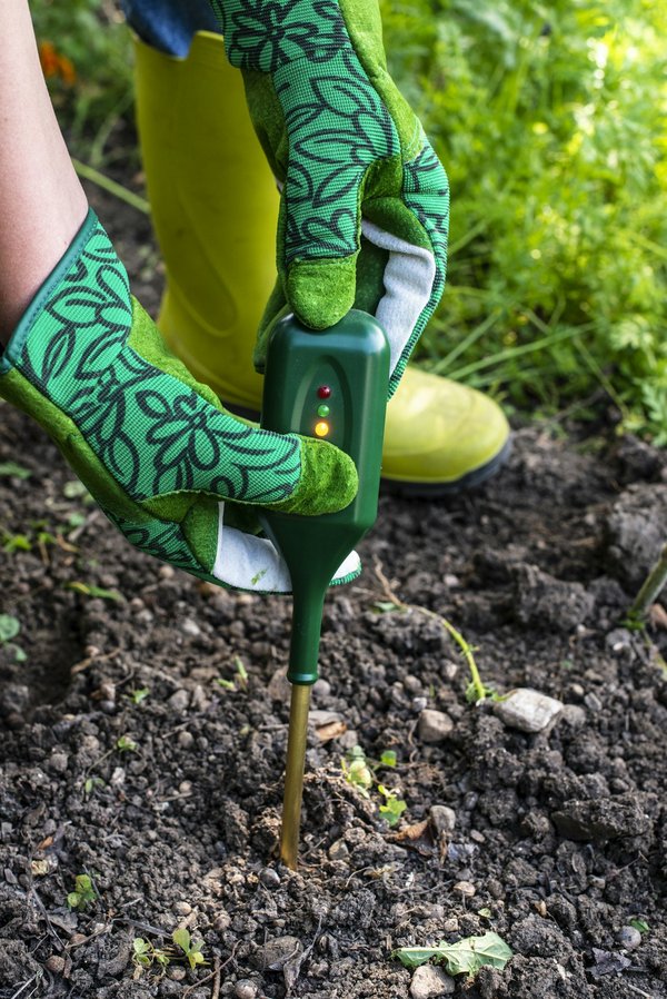 Humidité du sol : causes, problèmes et solutions efficaces